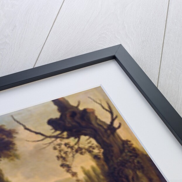 Water Birds by Dirck Wyntrack