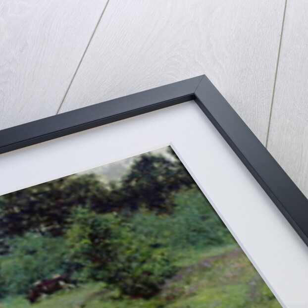 Young Girl in the Fields by Evariste Carpentier