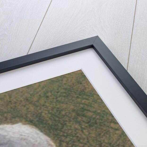 A Young Girl from Zeeland by Emile Claus