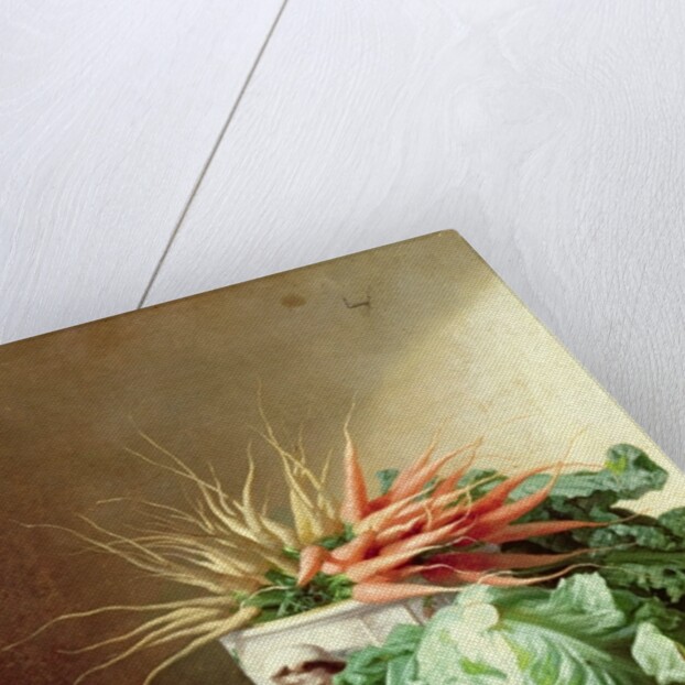 Still Life of Strawberries, Carrots and Cabbage by David Emil Joseph de Noter