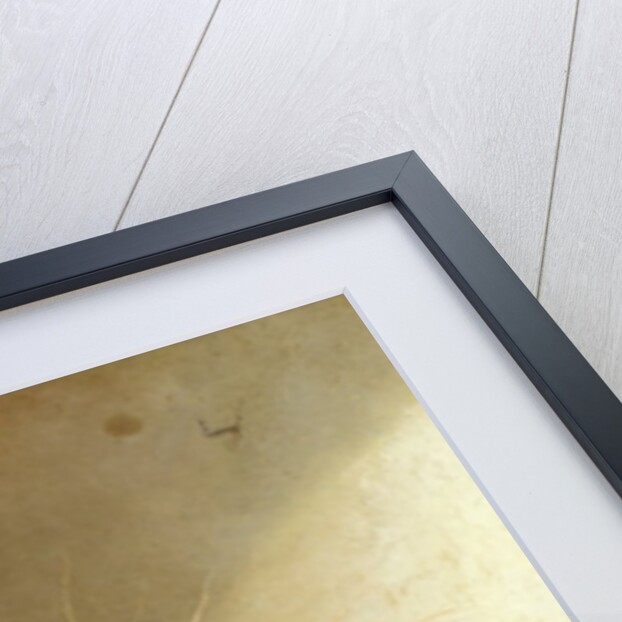 Still Life of Strawberries, Carrots and Cabbage by David Emil Joseph de Noter