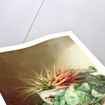 Still Life of Strawberries, Carrots and Cabbage by David Emil Joseph de Noter