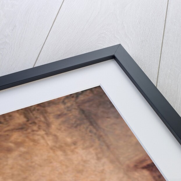 A Young Girl Lifting a Chest by Jean Baptiste Greuze