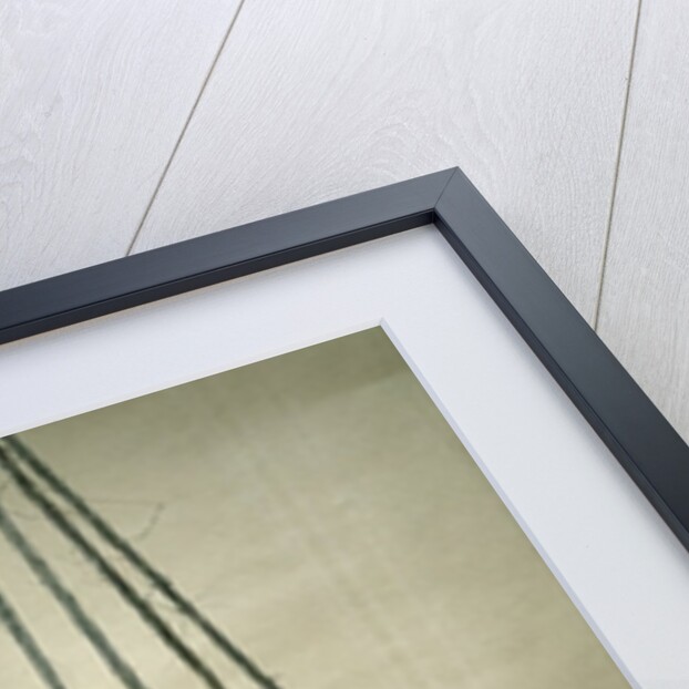 Vessel with a ribbon-style decoration, from Belloye-sur-Somme, Danubian Neolithic, c.3500 BC by Prehistoric Prehistoric