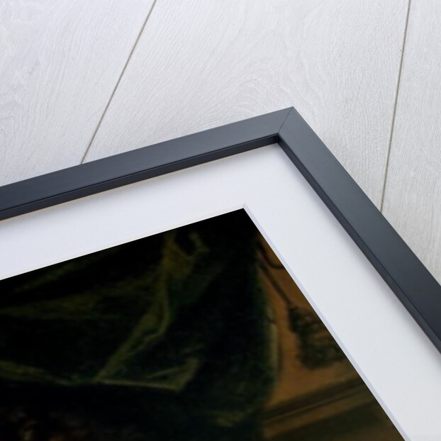 Francois Girardon by French School