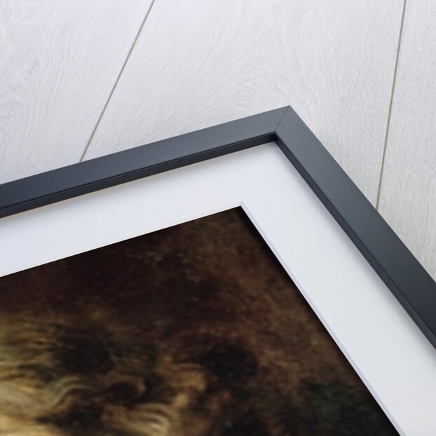 Heads of Two Old Men by Jacob Jordaens