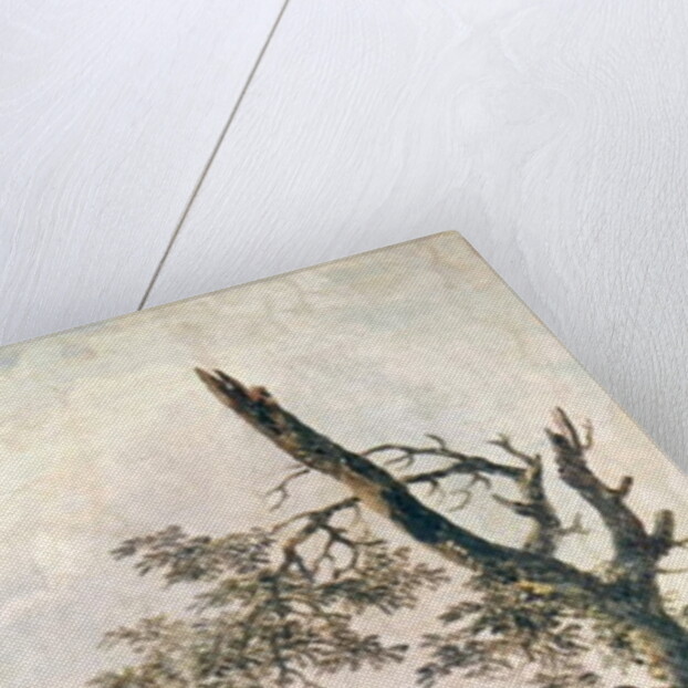 Ruins by Hubert Robert