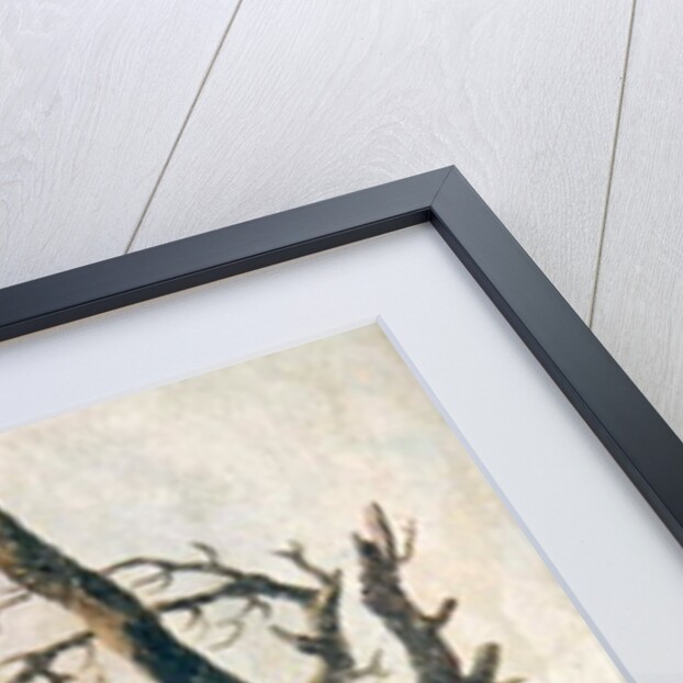 Ruins by Hubert Robert