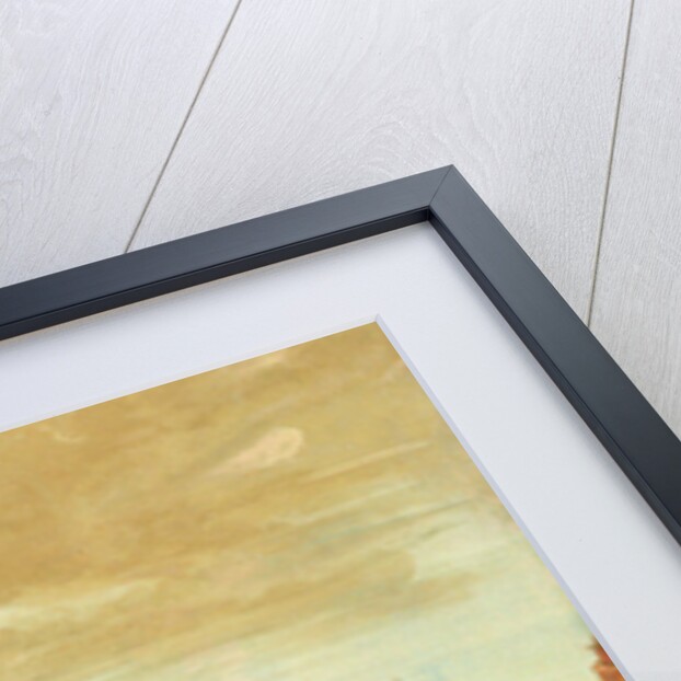 The Bull Dance by George Catlin