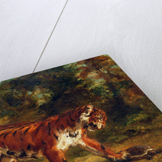 Tiger with Tortoise, 1862 by Ferdinand Victor Eugene Delacroix