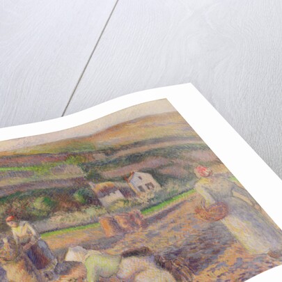 The Potato Harvest, 1886 by Camille Pissarro