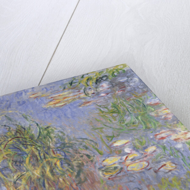 Water-Lilies, Cluster of Grass, 1914-17 by Claude Monet