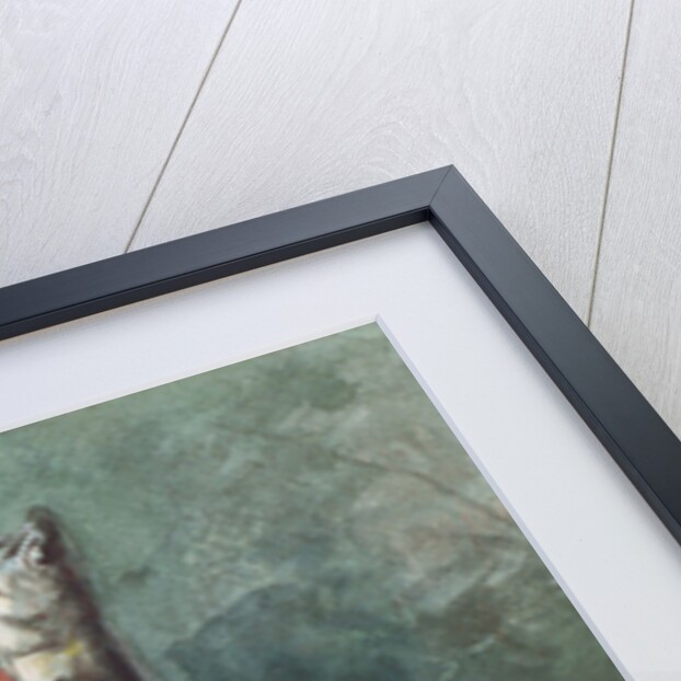 Two Trout, 1891 by Winslow Homer