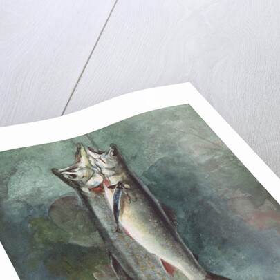 Two Trout, 1891 by Winslow Homer