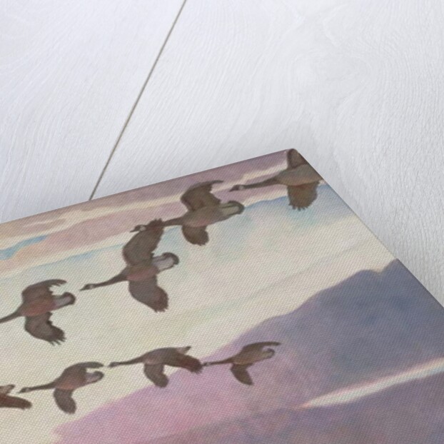 Canada Geese in Spring, 1941 by Newell Convers Wyeth