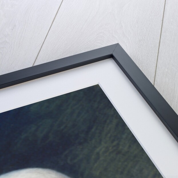 George Washington, 1795 by James Sharples