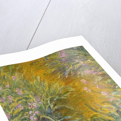 The Path through the Irises, 1914–17 by Claude Monet