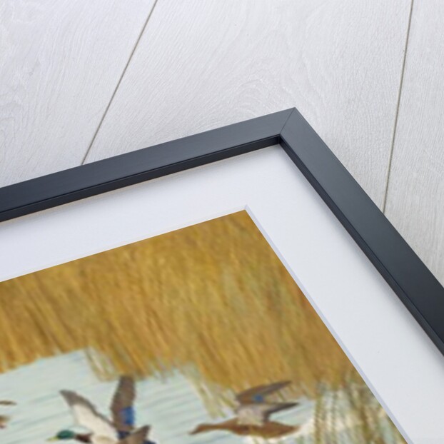 Mallards in Autumn, 1941 by Newell Convers Wyeth