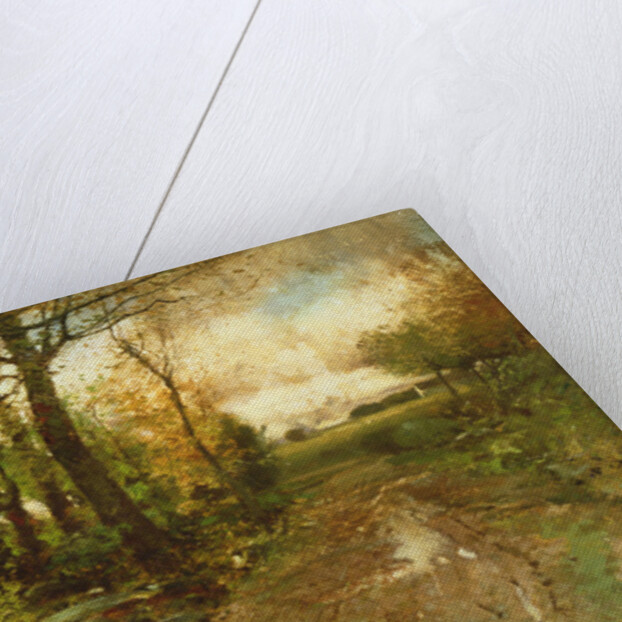 Road Through the Woods by John Francis Murphy