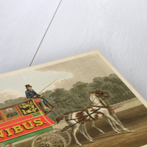 The Omnibus by J. Arnull