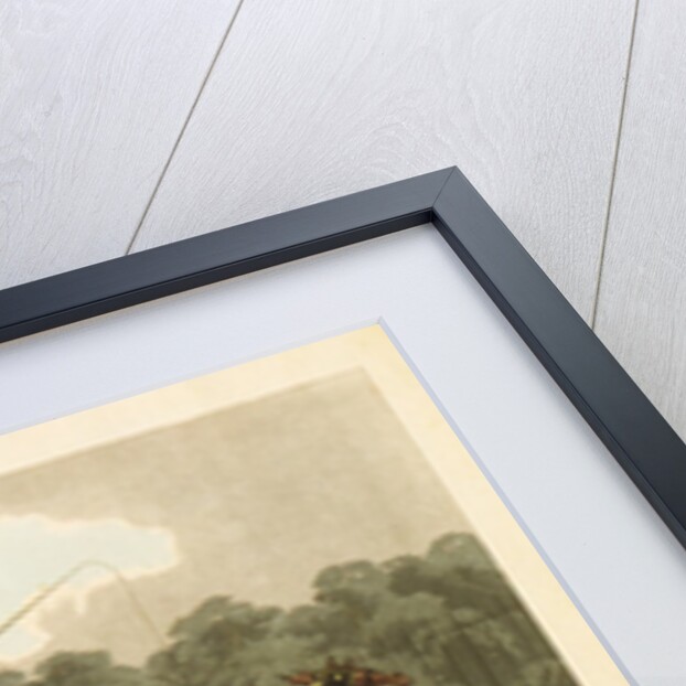 The Omnibus by J. Arnull