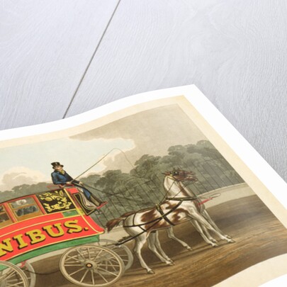 The Omnibus by J. Arnull