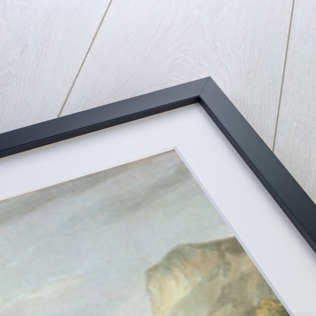 Battle of Maida, July 4th, 1806 by William Heath