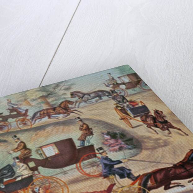 Turn-outs in Central Park by Thomas North