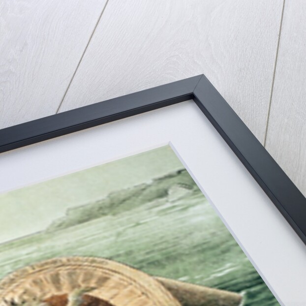 The Lion cannot face the corwing of the Cock by Friedrich Graetz