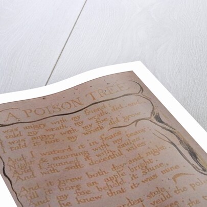 Songs of Experience; A Poison Tree, 1794 by William Blake