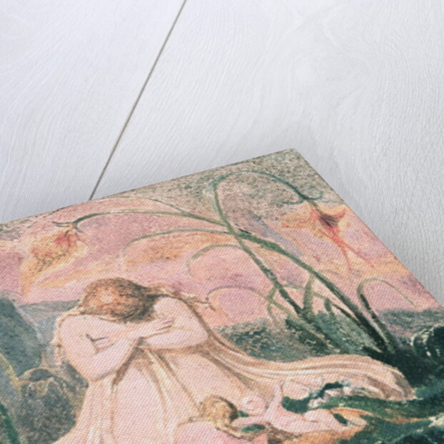 Book of Thel; Thel leaning over the 'Matron Clay' and the worm, 1789 by William Blake