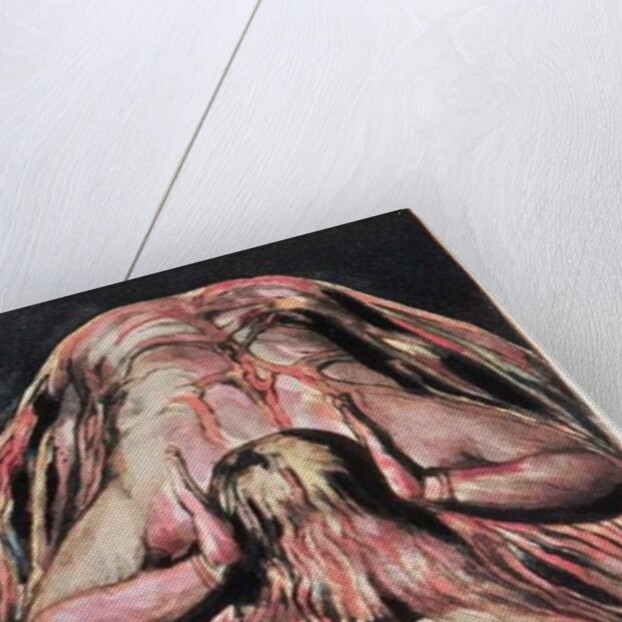 Book of Urizen; Blake's retelling of the Creation of Eve in the Creation of Enitharmon by William Blake