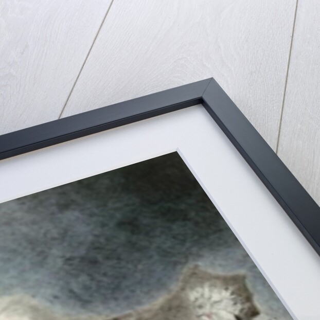 The Vision of Eliphaz, 1825 by William Blake