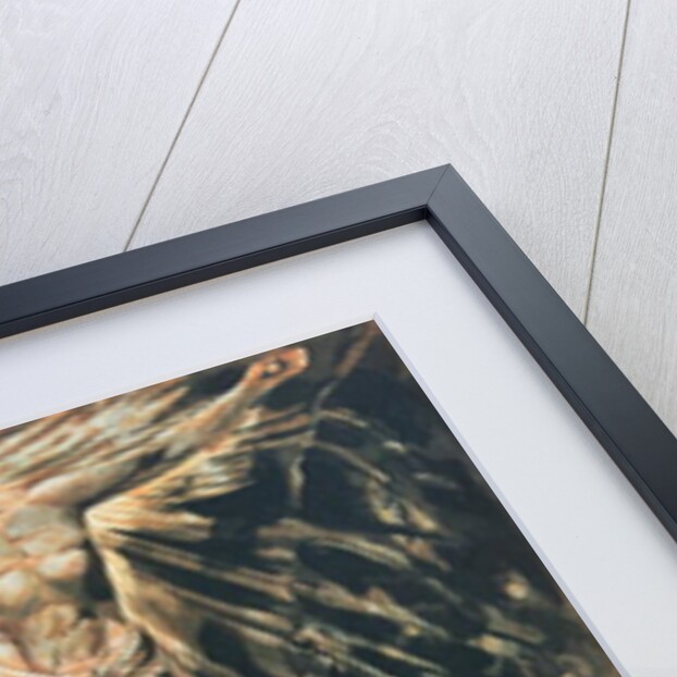 Jerusalem The Emanation of the Giant Albion by William Blake