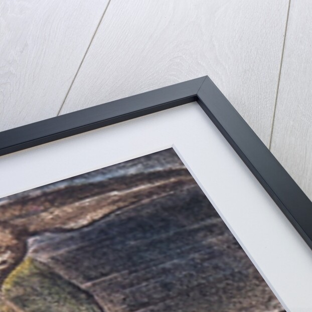 Milton a Poem: Albion on the rock, 1804 by William Blake