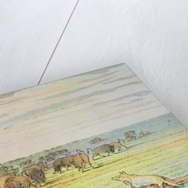 Stalking buffalo by George Catlin