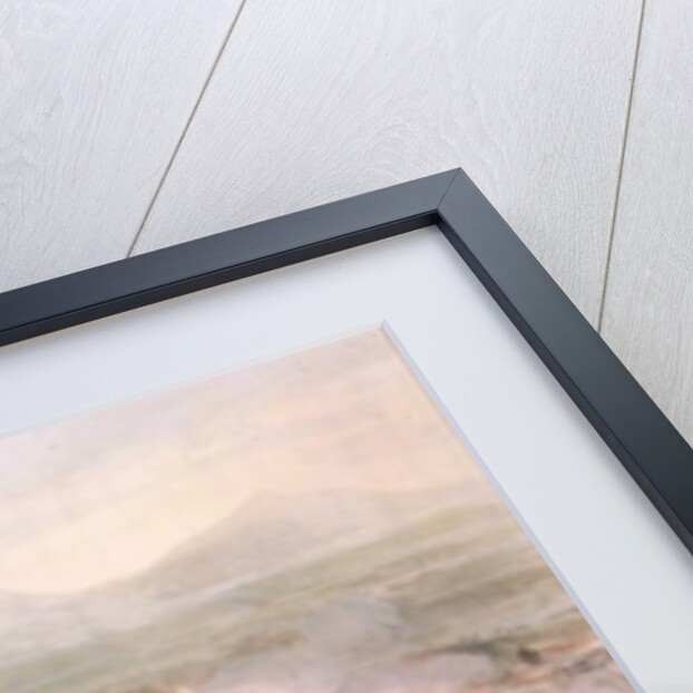 Battle of Toulouse, April 10th, 1814 by William (after) Heath