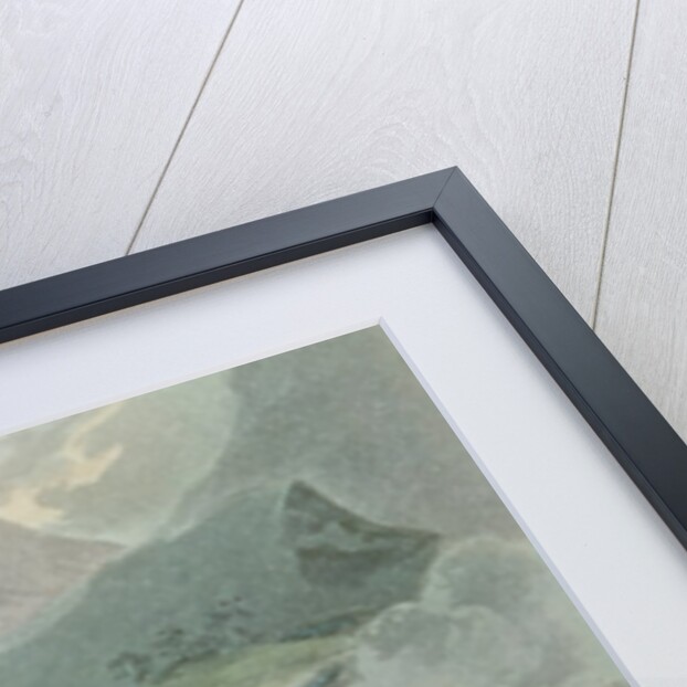 Battle of the Pyrenees, 28th July, 1813 by William Heath