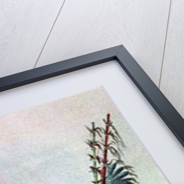 Mandan Indian Ha-Na-Tah-Muah, Wolf chief by George Catlin