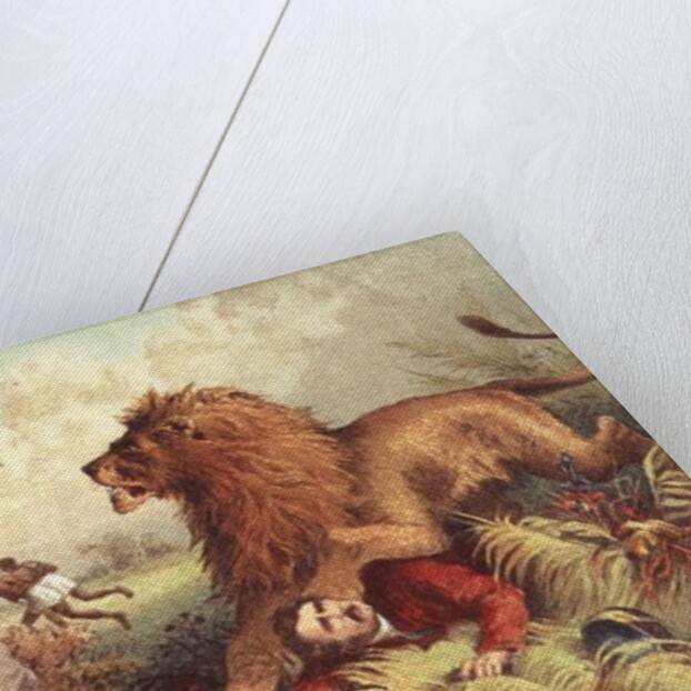 Livingstone attacked by the Lion by Anonymous