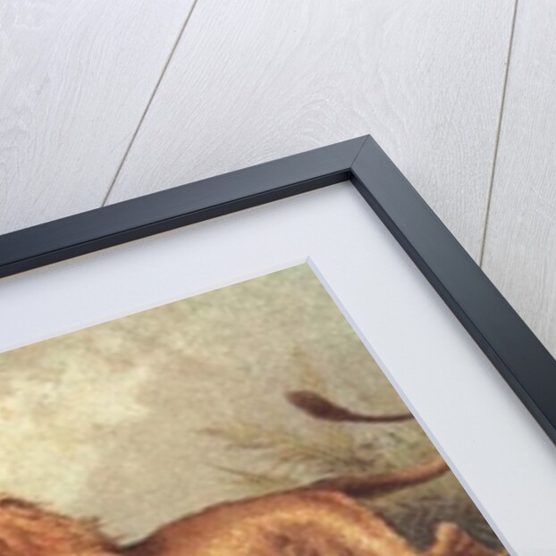 Livingstone attacked by the Lion by Anonymous