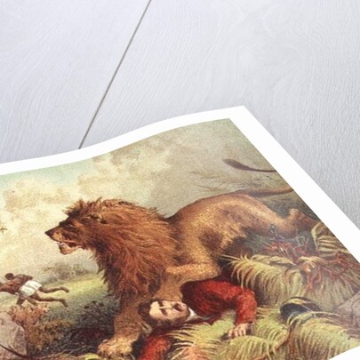 Livingstone attacked by the Lion by Anonymous