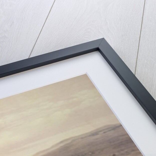 Charge of the Light Cavalry Brigade, 25th October 1854 by William 'Crimea' Simpson