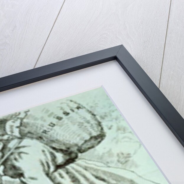 Comic map of Europe by Frederick Rose, c.1870 by English School