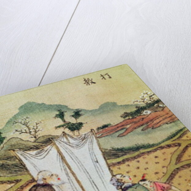 The Story of Rice by School Chinese