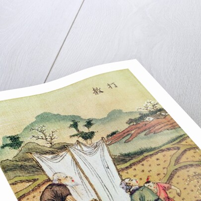 The Story of Rice by School Chinese