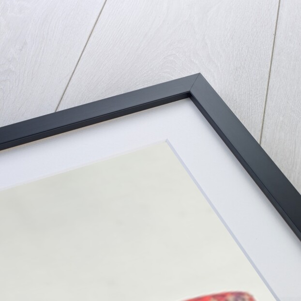 Heads of the portraits of english kings, 1784 by Anonymous