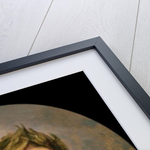 The Emperor Vespasian by Peter Paul Rubens