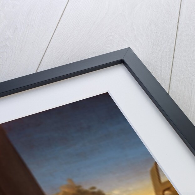 `Pictura' by Frans van Mieris