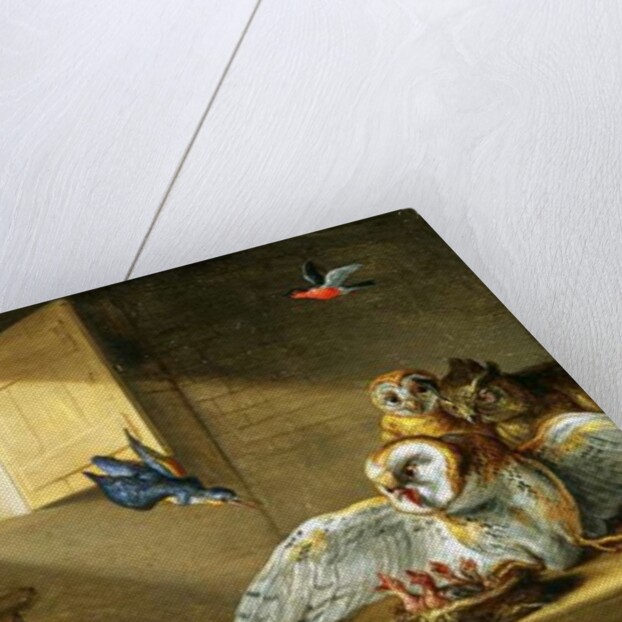 A Family of Owls, other Birds and a Cat by Jan van the Elder Kessel